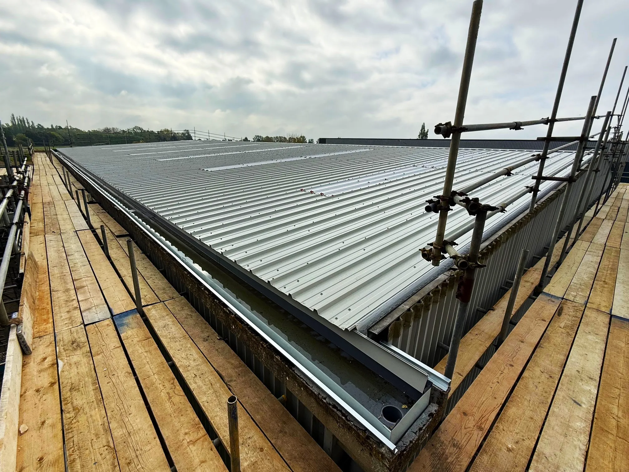 Commercial Roof